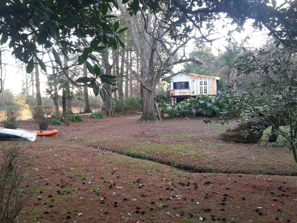 Casa Del Bosque Villa Tigre Ngoại thất bức ảnh